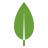 MongoDB Logo